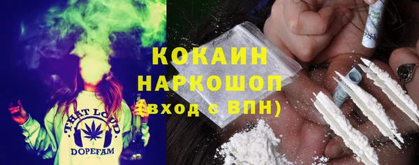гидропоника Алзамай