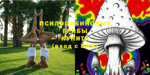 гидропоника Алзамай