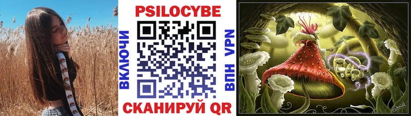 Псилоцибиновые грибы GOLDEN TEACHER kraken маркетплейс Пикалёво
